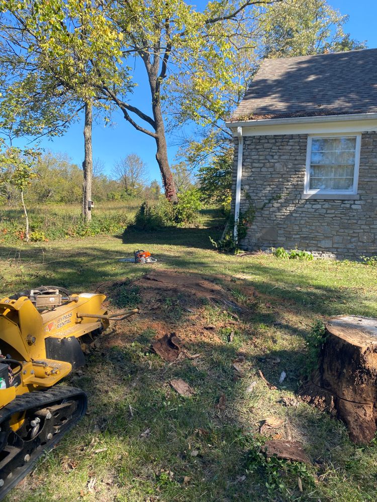 All Photos for Houtz Tree Service in Lexington, KY