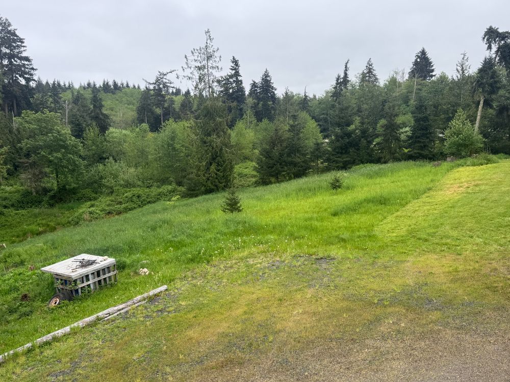 All Photos for Hall of Fame Landscaping in Bremerton, WA