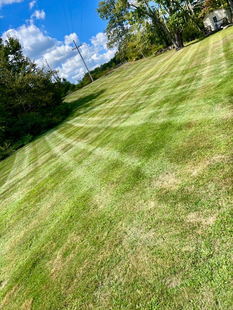 Lawn Care for Lopez Landscaping and Hardscapes in Scranton, PA