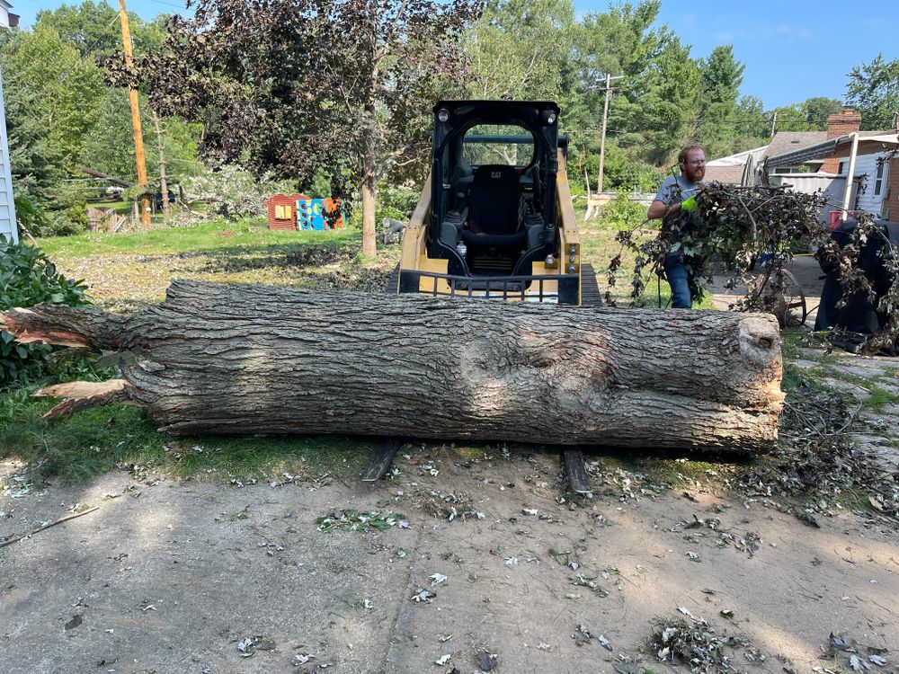 All Photos for Steed's Lawn and Landscape LLC in White Lake, MI