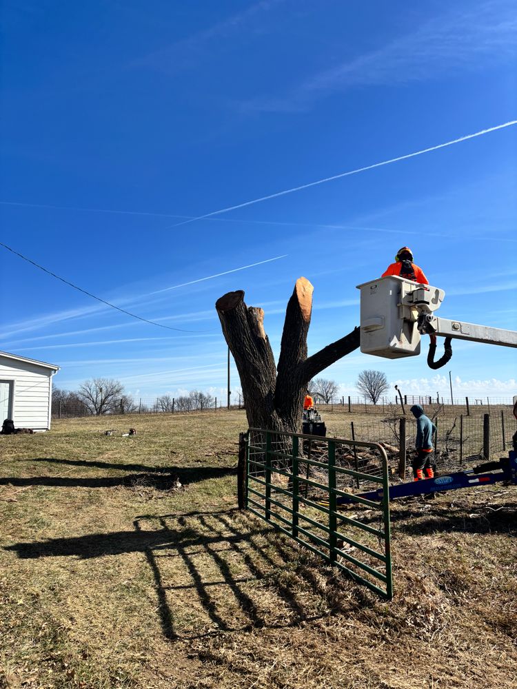 All Photos for Cross Family Tree Service in Kearney, MO