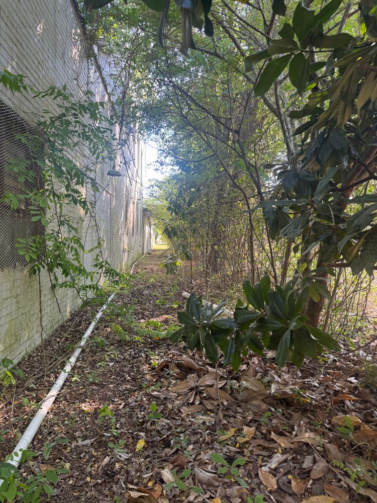 All Photos for Johnson Gutter Cleaning and Construction  in Southern Pines, NC