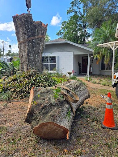 All Photos for Near Me Tree Service, Inc. in DeLand, FL
