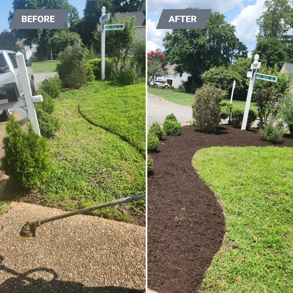 All Photos for Jose's Lawn Care & Tree Service in Williamsburg, VA