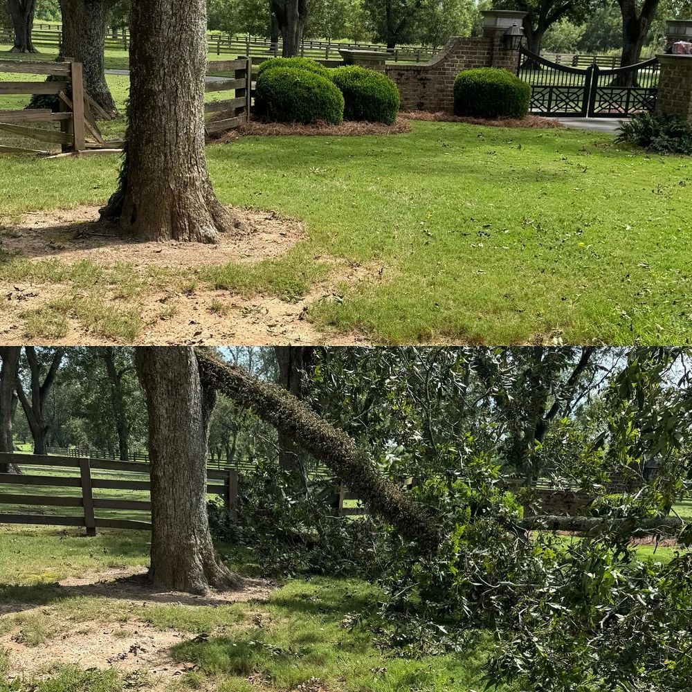 All Photos for Camalett Services in Perry, GA