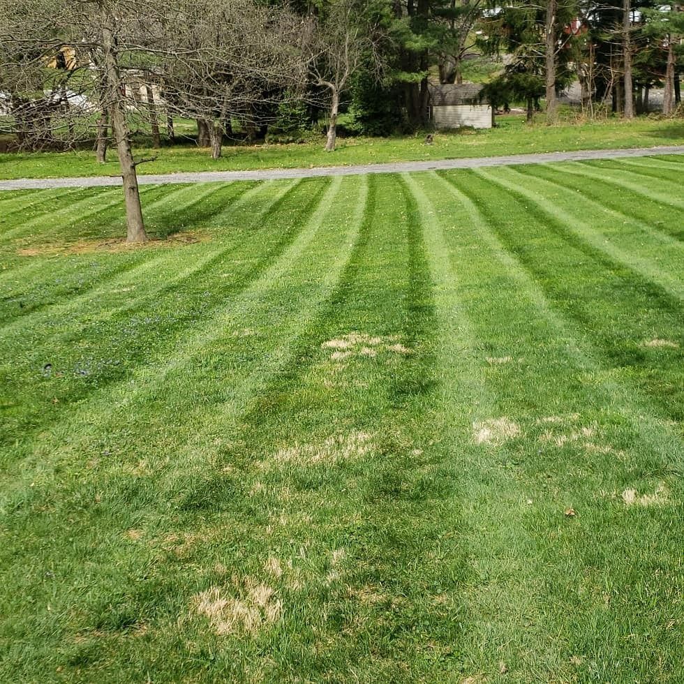 Landscaping for L & A Lawn Care, LLC in Manchester, MD