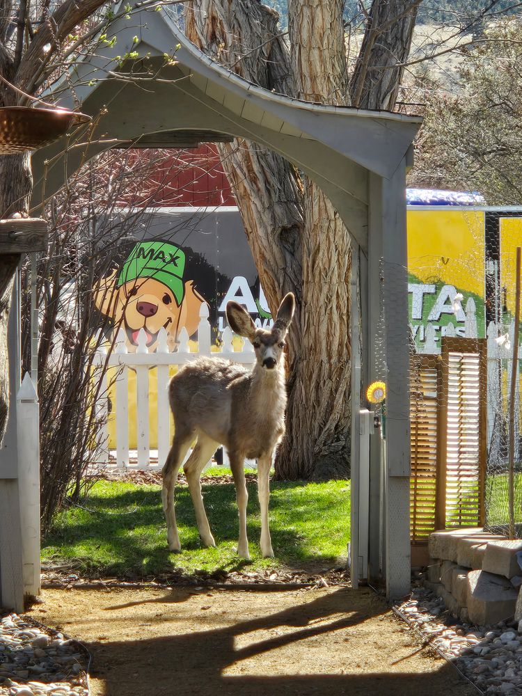 All Photos for Eagle Bay is Proud to Transition to Augusta Lawn Care of Helena in Helena, MT