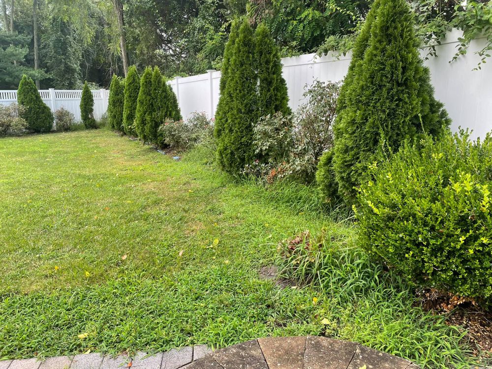 Landscaping for S&G Landscape & Property Maintenance LLC in Bradley Beach, NJ