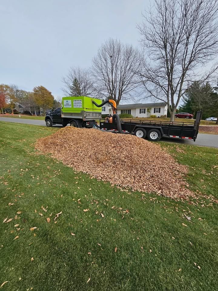 Mowing & Trimming for DQ Lawn and Snow in Madison, WI