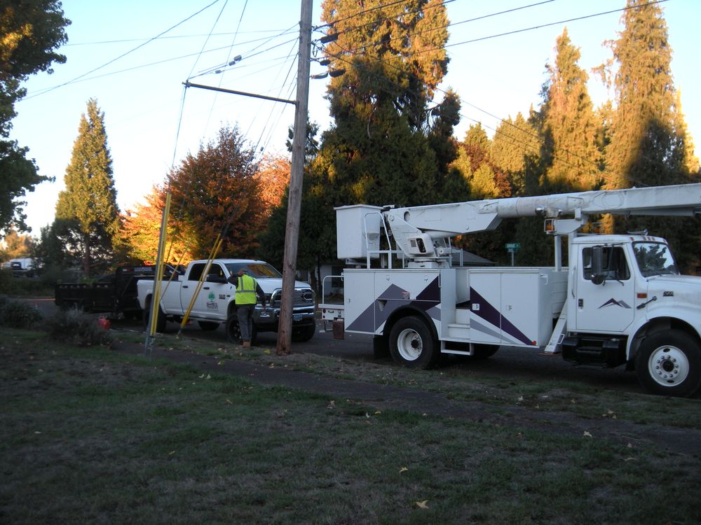 All Photos for Willamette Landscaping and Tree Services in Albany, OR