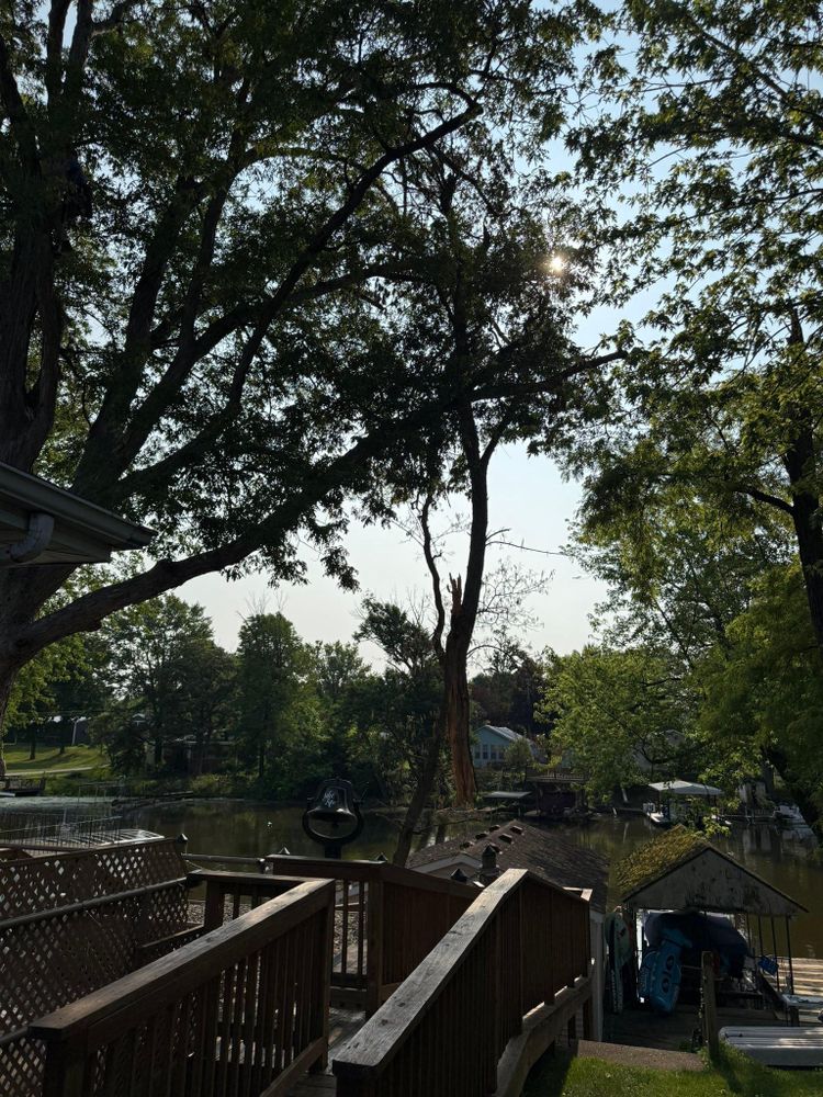 All Photos for Hunnicutt’s Tree Service L.L.C. in Monticello, IN