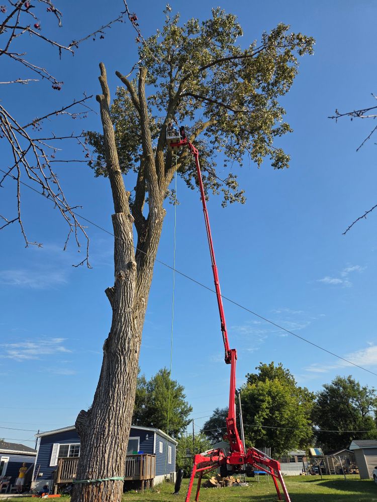 All Photos for Lawn Ranger Yard And Tree Service LLC in Ottumwa, IA