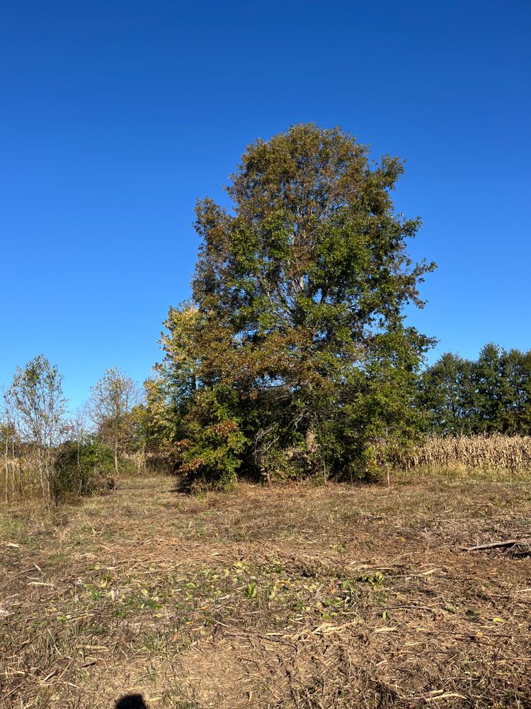 All Photos for KG Ground Development and Transportation in Newton, IL