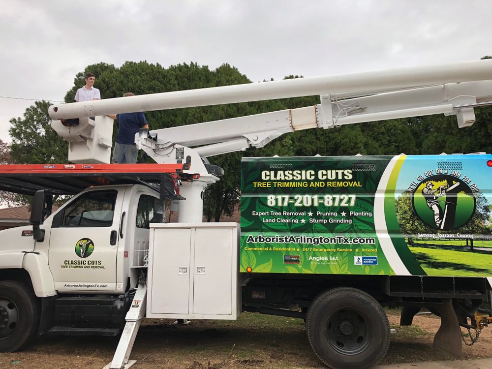 All Photos for Classic cut tree trimming and removal in Arlington, TX