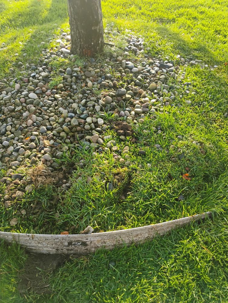 All Photos for Lighthouse Lawn Care and Irrigation in Marysville, MI