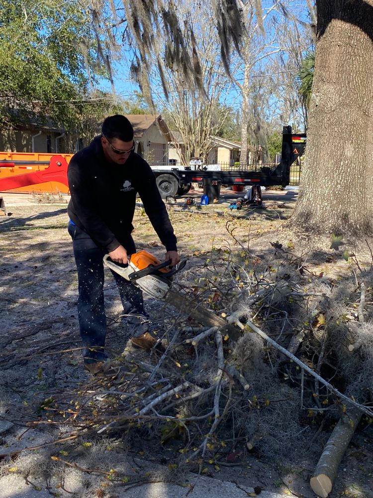 All Photos for Top Notch Tree Experts in Orange Park, FL