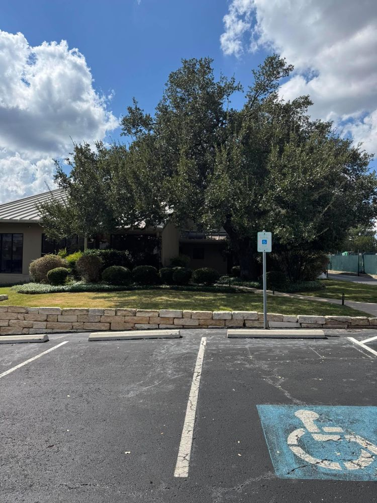 All Photos for Z’s Trees LLC in Grey Forest, TX