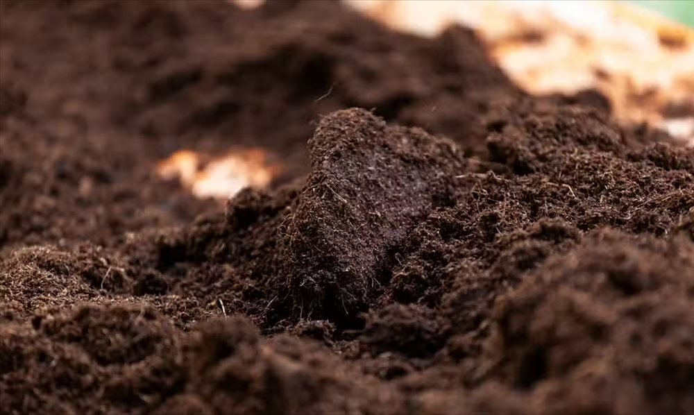 Our mulch removal service clears old, excess, or unwanted mulch quickly and cleanly, improving curb appeal and preparing your landscape for fresh installation, stump grinding access, or new planting projects. for Titan Stump Grinders in Hendersonville, TN