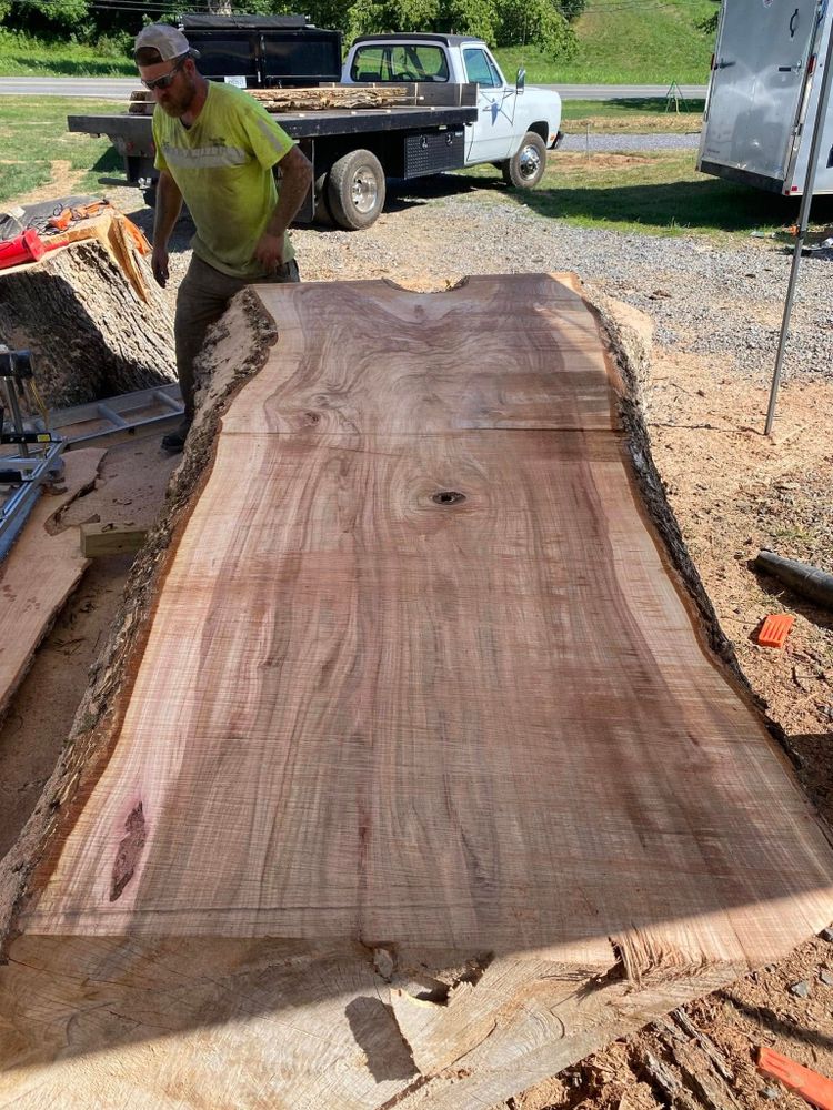 All Photos for Brocks Tree Service LLC in Rogersville, TN