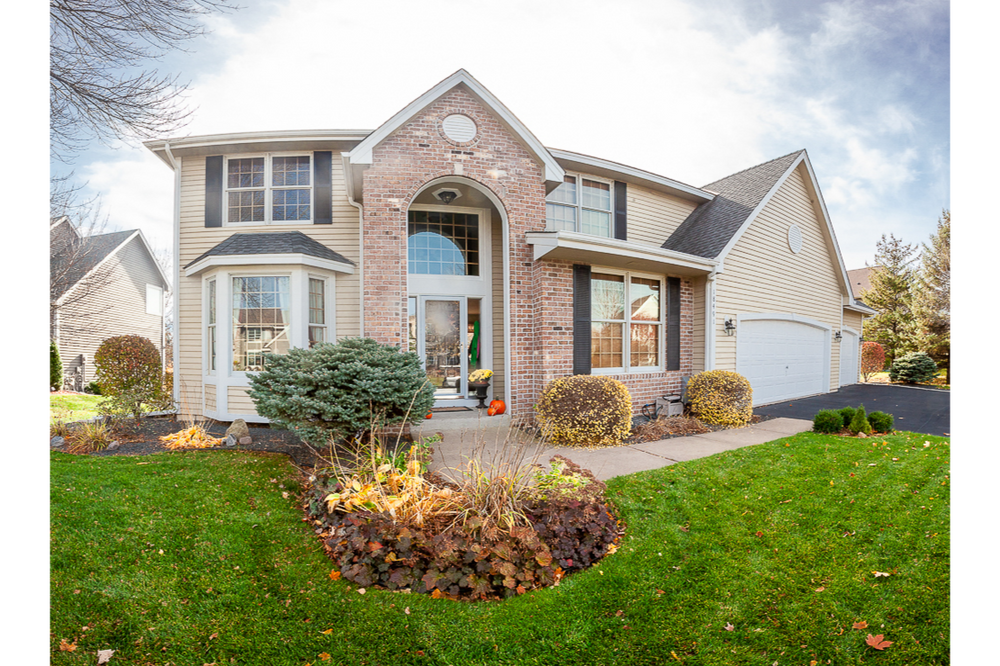 All Photos for Thunder Bear Painting in Eden Prairie, Minnesota