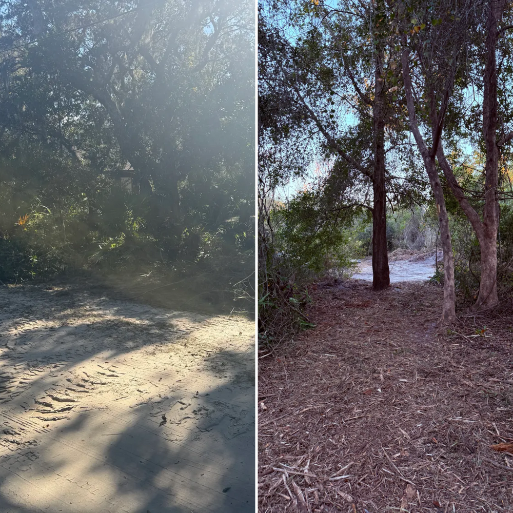 All Photos for Amerigrown Tree And Lawn in Apopka, FL