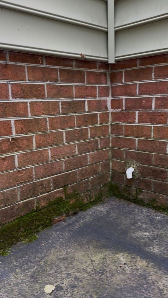All Photos for LeafTide Solutions in Richmond, VA