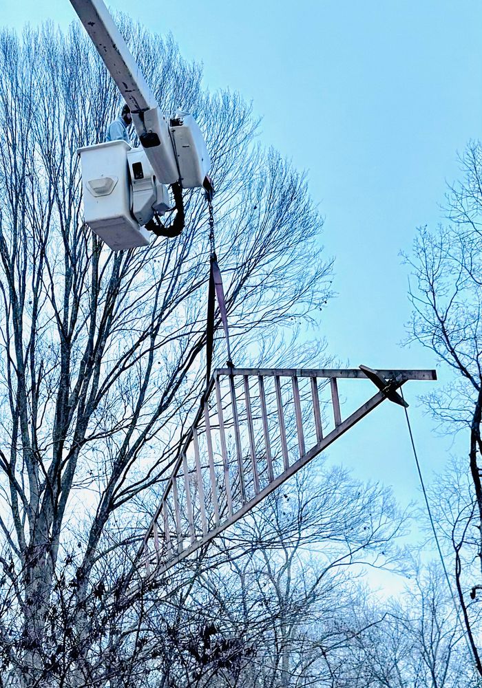 All Photos for Lamb Brothers Clearing in Murray, KY