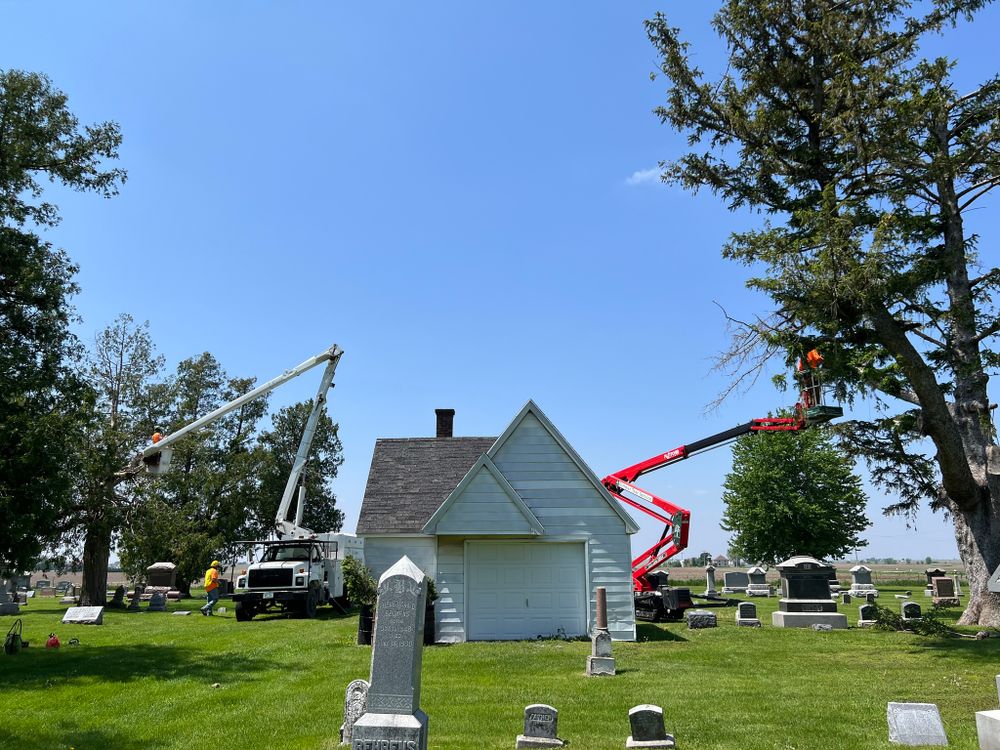 Other Services for Dittmer Tree Service in Davenport, IA