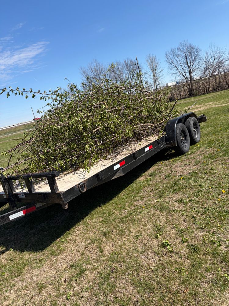All Photos for Carter & Son’s LLC in Higginsville, MO