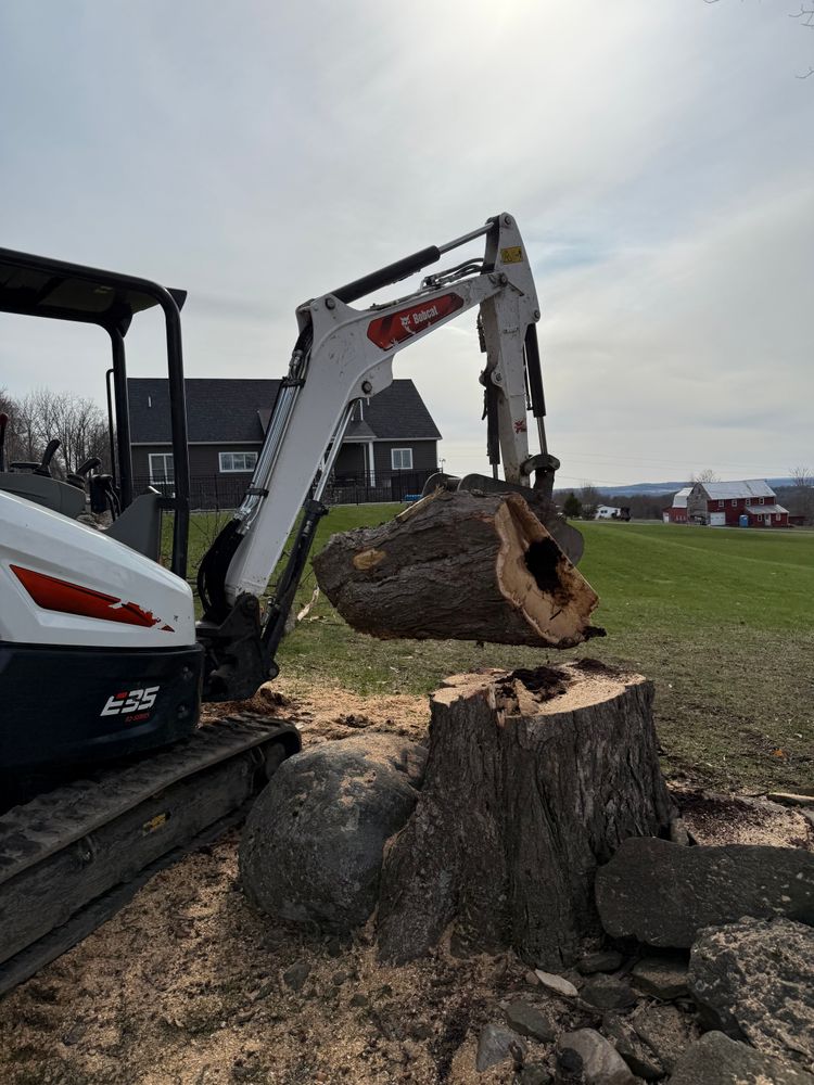 All Photos for Sterlings Tree Removal in Cobleskill, New York