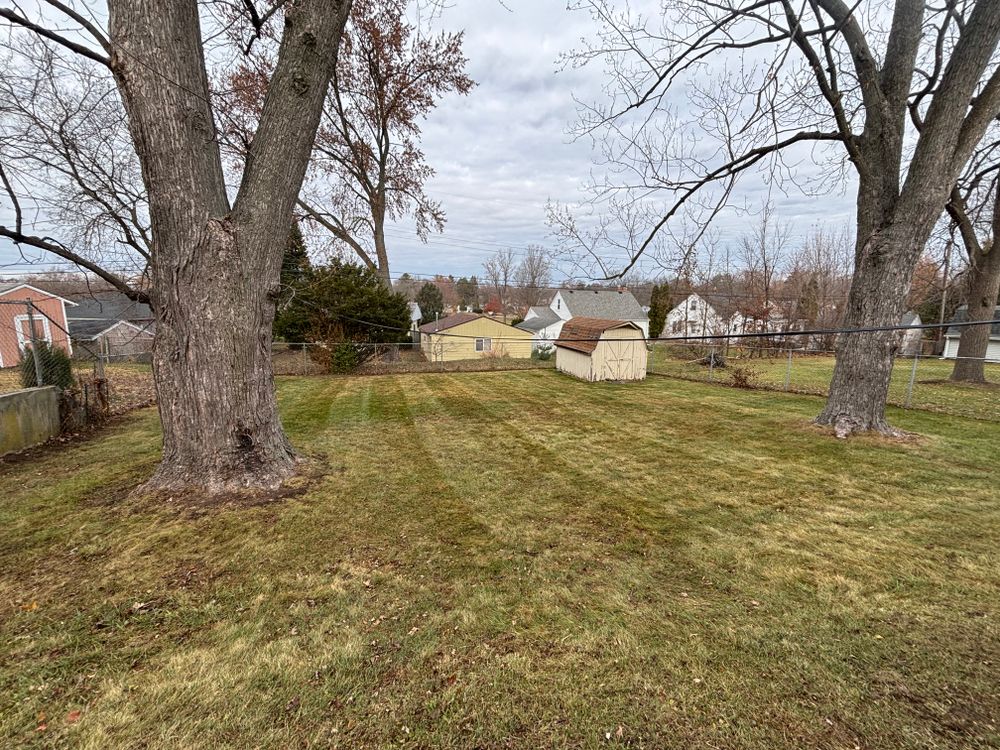 All Photos for Cena Landscaping in Rockford, IL