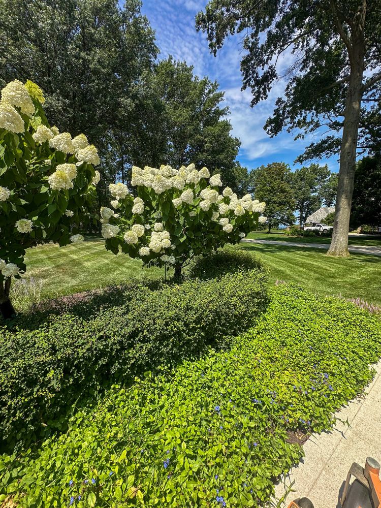 All Photos for Newtons Lawncare LLC in North Ridgeville, OH