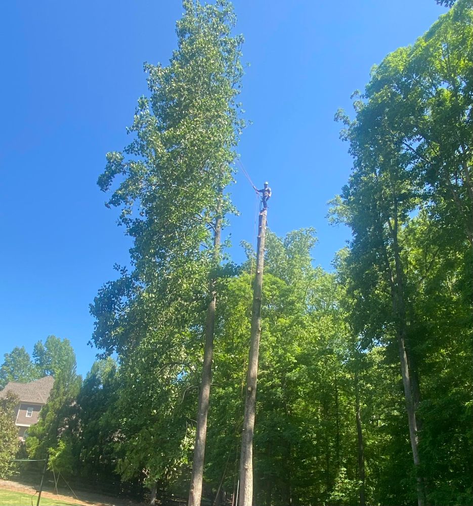 All Photos for High Tree Service & Landscaping in Atlanta, GA
