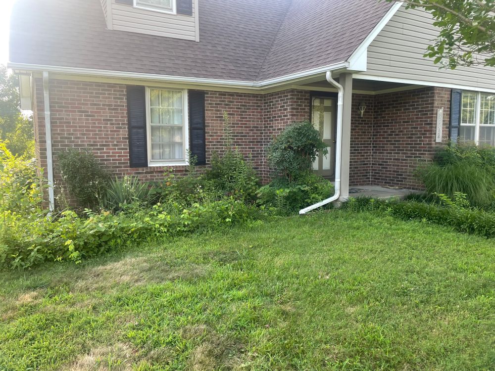 Before and after  for Optimum Tree Service And Landscaping in Bowling Green, KY