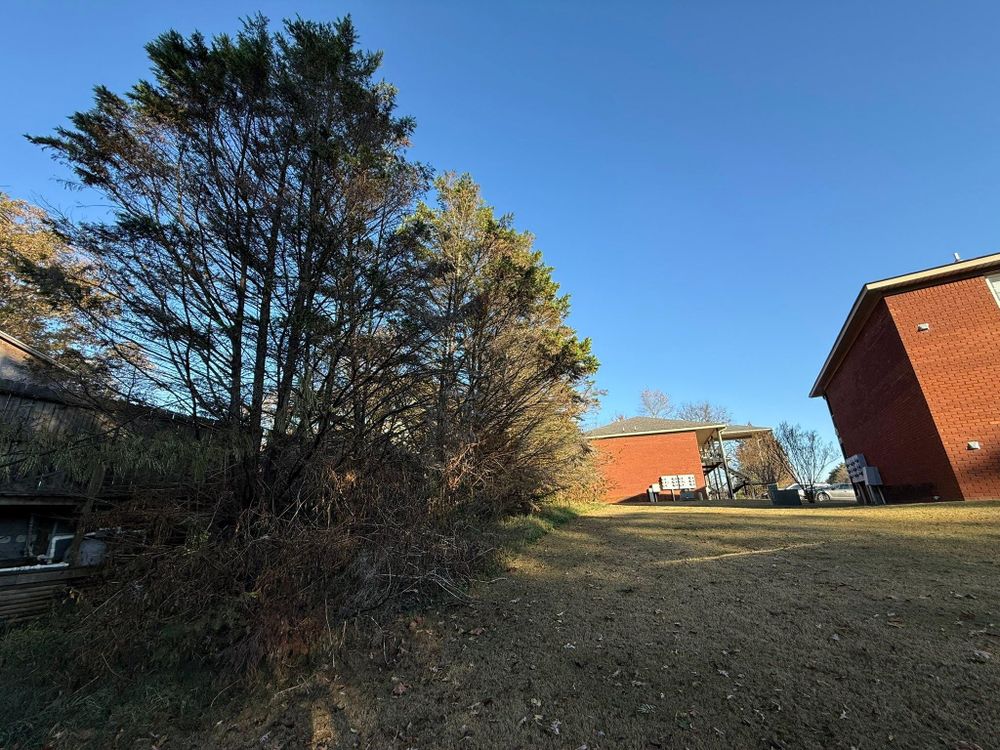 All Photos for Mud Creek Vegetation Management in Russellville, AL