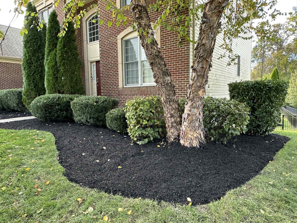 All Photos for A Better Lawn Service LLC in Bel Air, MD