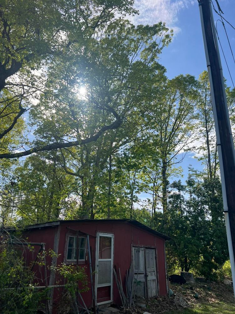 All Photos for Brooks Tree Service in Casar, NC
