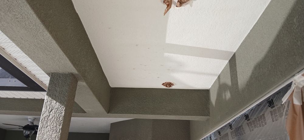 All Photos for Bradley Bradshaw Painting in Christmas, FL