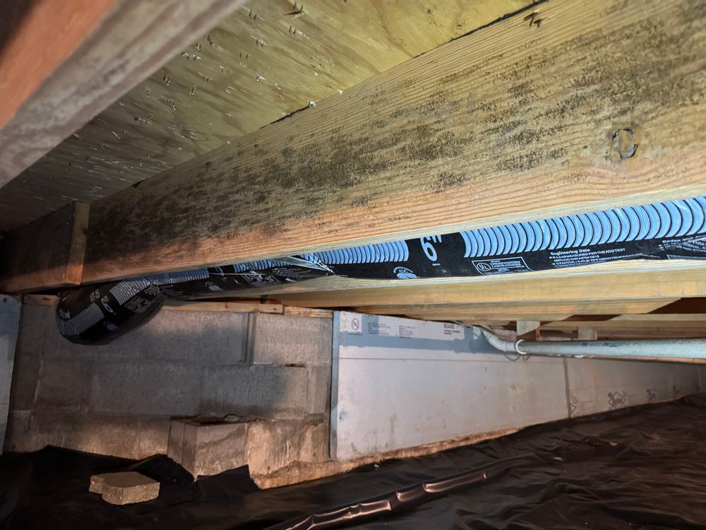 Crawlspace/Attic Renovation  for All-In Pest Control & Home Solutions in Greene County, IN