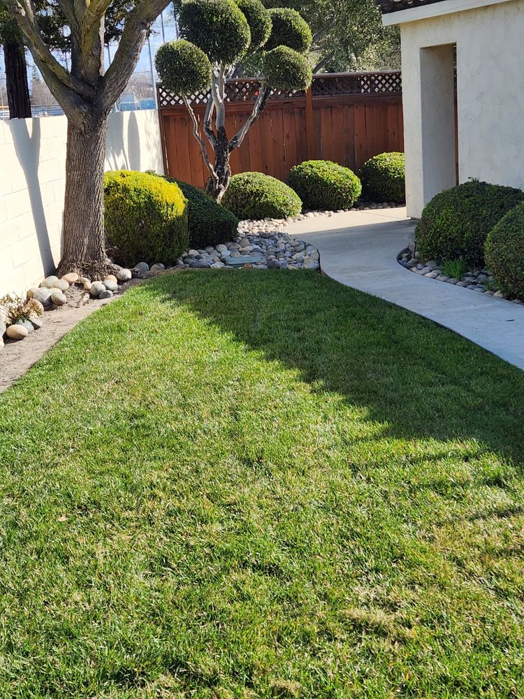 All Photos for Vargas LANSCAPE LLC in Stockton, CA