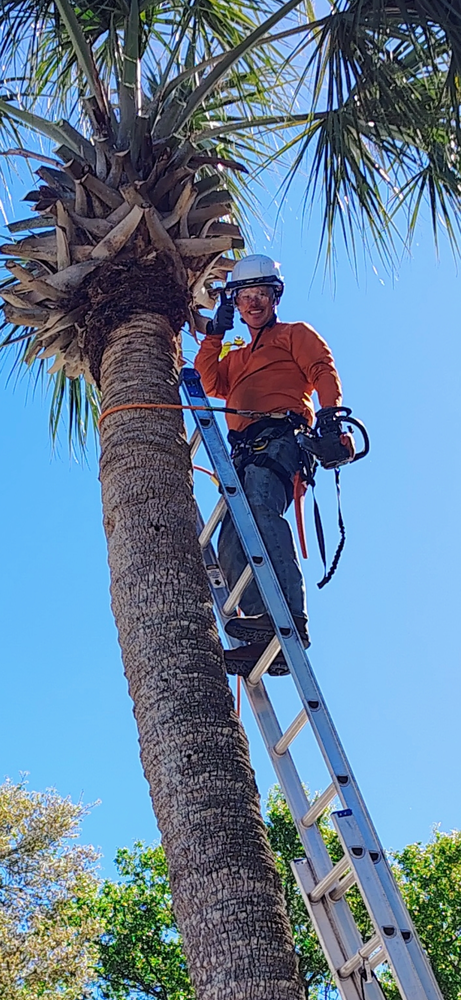 All Photos for Amerigrown Tree And Lawn in Apopka, FL