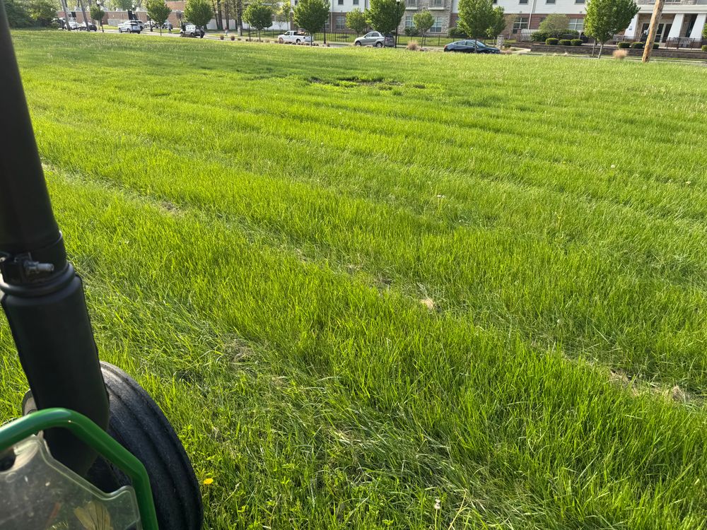 All Photos for A1 Bush Hogging & Lawn Service in Columbus, OH