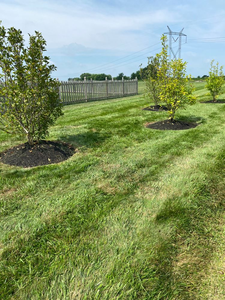 All Photos for Stafford.Works in Brownsburg, IN