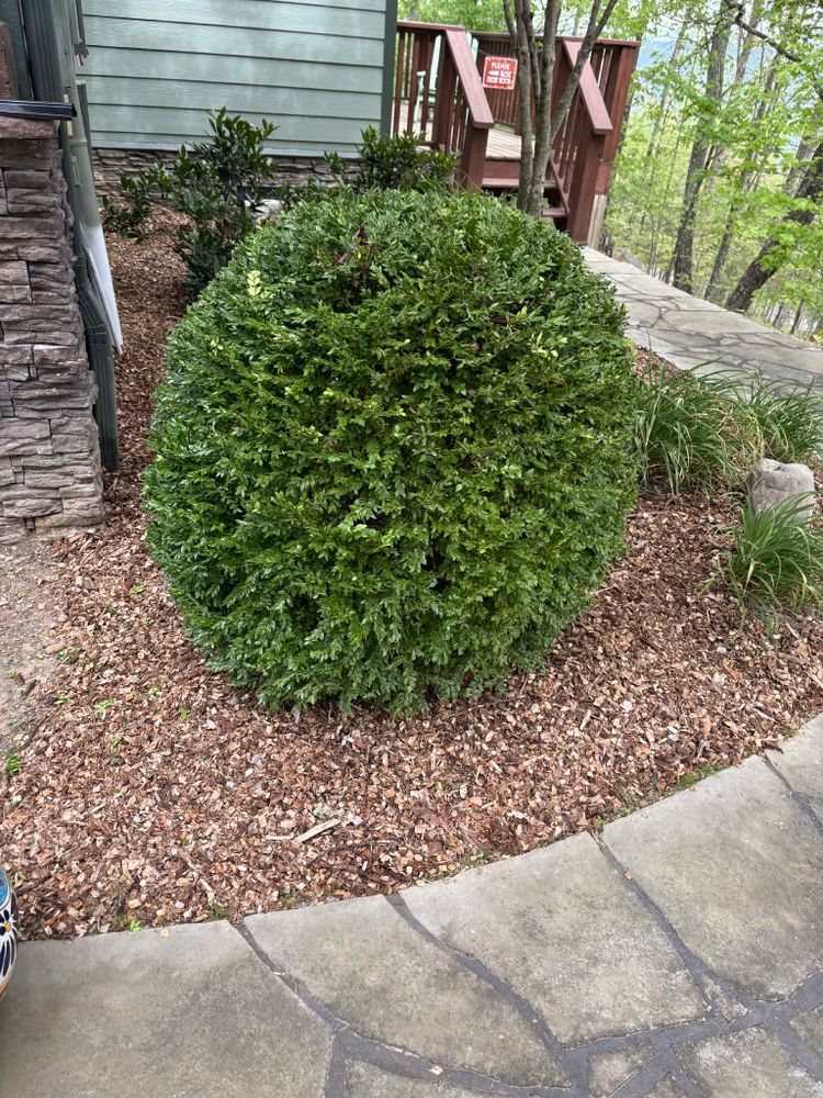 Landscaping for Starnes Hardscapes & Property Management LLC in Dunlap, TN