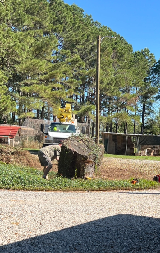 All Photos for Southern Venom Services in Daphne, AL