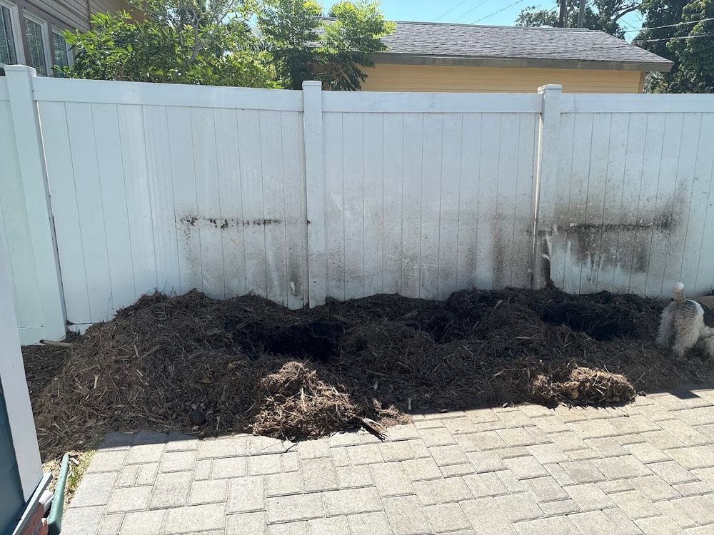 Tree Services for Busy Beaver Stump Removal, Inc in Clearwater, FL