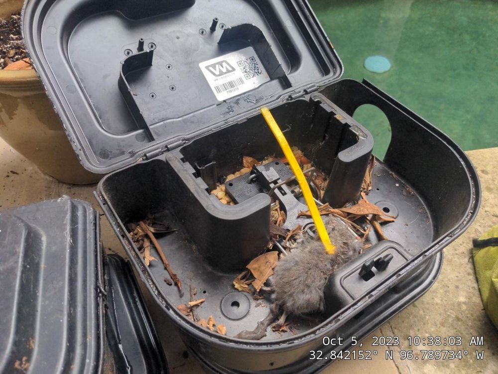 All Photos for Topper's Wildlife Removal in Garland, TX