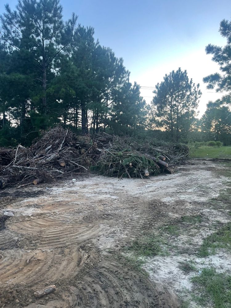 Land Clearing  for Cortez Construction SC, LLC in Conway, SC