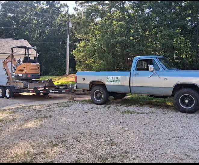 All Tree Property Services team in Charlotte, NC - people or person