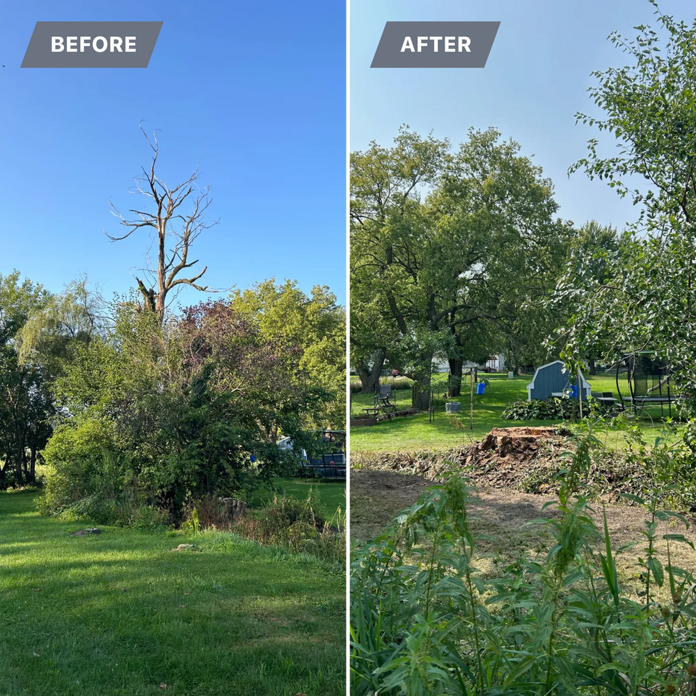 All Photos for Fransen's Tree Service  in Freeport, IL